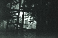 /album/www-pix-fx-de/bild-2584-jpg/